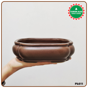 Pot Bonsai Keramik Segi Empat Persegi Panjang Kecil Mini Mame no Semen