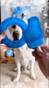 Interactive Pet Toy Summer Cool Dog Ice Stick CoolingSupplies Water Injection Frozen Popsicle Dog Teething Toy Set dog and cat activity toy everyday pet play accessory for Cats Dogs and Pet Owners