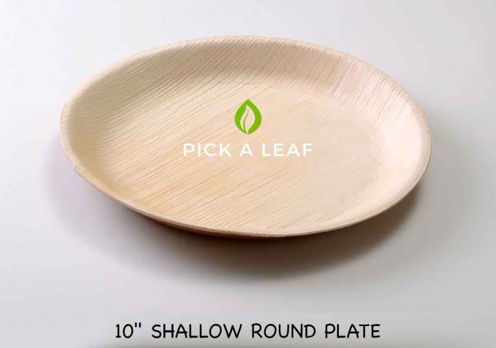 Disposable Biodegradable Eco Friendly Areca Palm Plates 10