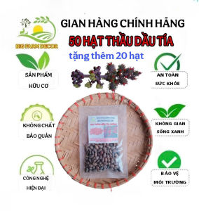 gói 50 hạt thầu dầu tía giống