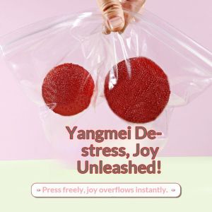 JJT Realistic Lychee Squishy Toy for Stress Relief - Fun and Relaxing Sensory Play with Slow Rebound Texture