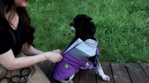 Norbi Small Dog Winter Jacket with Harness - 2 in 1 Puppy Coat