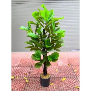 Cây bàng singapore giả - cao 160cm - Cây giả hoa lụa Decor trang trí nhà cửa