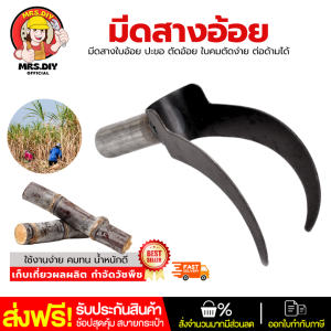 ส่งฟรี มีดสางอ้อย อุปกรณ์ทำอ้อย อุปกรณ์การเกษตร อุปกรณ์แต่งสวน ขอสางใบอ้อย มีดสางใบอ้อย มีด มีดตัดอ้อย มีดเกาะใบอ้อย