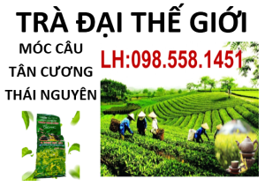 Trà móc câu tân cương Thái Nguyên Đại Thế Giới đóng gói 500g