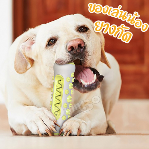 ของเล่นหมา เชือกกัดสุนัข กระดูกแทะสุนัข กระดูกซิลิโคน ของเล่นสุนัข บอล ลูกบอล ของเล่นสัตว์เลี้ยง ของเล่นสุนัข ของเล่นสุนัขโต