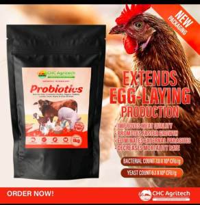 CHC Agritech | Probiotics for Dogs Cats Pigeon Chicken Rabbit Birds Cow Goat 1KG