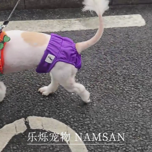 Có thể giặt cô gái sinh lý của chó quần vệ sinh có thể tái sử dụng đồ lót đai nịt bụng ban nhạc tã cho chó nhỏ vừa lớn