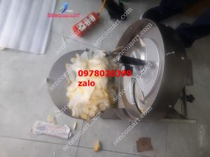 Máy cắt lát các loại củ quả thành lát mỏng đều