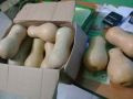 Buah Labu Madu/butternut pumpkin. fresh (segar) per 100 gr.. 