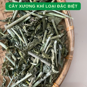 500g Cây Xương Khỉ (Cây Bìm Bịp) Loại 1 Đức Thiện - (Khô Sạch Thơm) - Hỗ Trợ Điều Trị Men Gan Cao Ung Thư Đau Nhức Xương Khớp