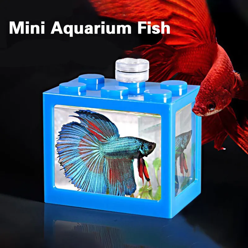 Aquarium Tank Gifts New Building Block Ornamental Betta Fish Tank Mini  Aquarium Betta Fish Accessories, Pet Supplies, Homes & Other Pet  Accessories on Carousell