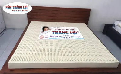 [Đủ Kích Thước][DÀY 20cm] NỆM CAO SU NON THẮNG LỢI LOẠI 1 CAO CẤP - BẢO HÀNH 15 NĂM