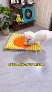 SKISOPGO Pet Cooling Mat Cat Dog Bed Summer Sleeping Bed Sofa Ice Silk Carpet Washable Sleeping Mat