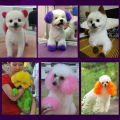 [Stock ready] 100ml harmless semi permanent beauty pet dog cat hair coloring gel. 