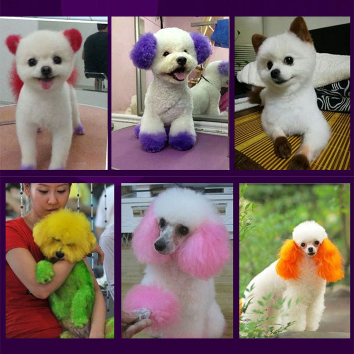 %5BStock%20ready%5D%20100ml%20harmless%20semi%20permanent%20beauty%20pet%20dog%20cat%20hair%20coloring%20gel%20-%20Image%205