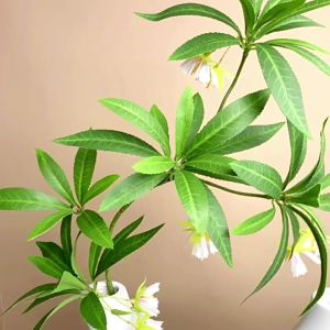High-end Artificial Flowers Fake Flower Arrangement Artificial Green Plants Fake Plants Potted Indoor Landscape Living Room Decorative Floral Arrangement