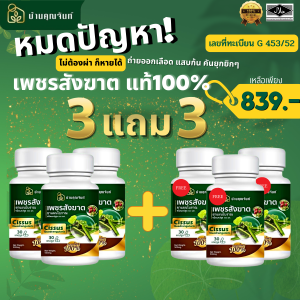 ส่งฟรี 6กระปุก บ้านคุณจันทร์ สมุนไพรริดสีดวง บ้านคุณจันท์ เพชรสังฆาต 30แคปซูล ดูแลริดซี่