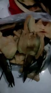 ikan Asin gabus murah/best seller/rasa gurih