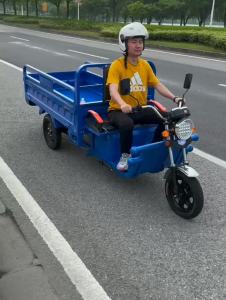 Electric Tricycle Scooter Pick-up Childrens Home Truck Cargo King Battery Reinforced Mountain Version Climbing