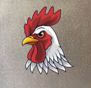 Logo Sticker Little Chicken gà con ủi áo tại nhà-GIÁ KHUYẾN MÃI - công nghệ in pet chuyển nhiệt ủi trực tiếp rất đẹp-MAJESTIC.CLO