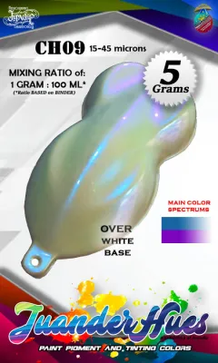 5 grams High Grade White Chameleon Blue Violet Pigment Color Changing Powder Pearl Effect for Paint Binder Clear Coat Powdercoat Multicolor CH09 Juanderhues