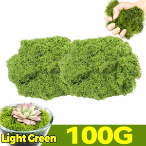 300/30g Artificial Green Moss Eternal Life Moss Lawn Landscape Simulated Plant Fake Grass Craft Potted Faux Preserved Plant Moss