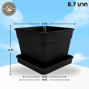 กระถางแคคตัส กระถางสี่เหลี่ยม พร้อมจานรอง 4 4.4 นิ้ว สีดำ Bundle 12 ใบ ชิ้น อัน
