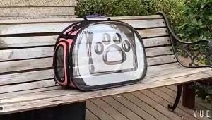 Transparent  Carrier Backpack - Portable Space Capsule Design for Cats & Small Dogs