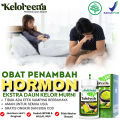 COD - Obat Penambah Hormon Testosteron Pria - Obat Untuk Meningkatkan kadar hormon testosteron - Suplemen dan Vitamin Hormon Testosteron - Obat hormon testosteron menurun  - Obat Herbal Hormon Testosteron dll - Keloreena Kapsul 100% Ekstrak Daun Kelor. 