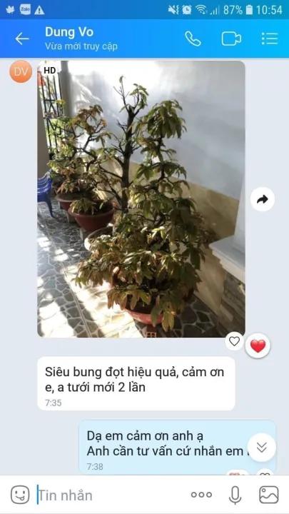 Ph%C3%A2n%20b%C3%B3n%20TH%C3%9AC%20C%C3%82Y%20RA%20%C4%90%E1%BB%8CT/CH%E1%BB%92I,%20RA%20R%E1%BB%84%20KH%E1%BB%8EE%20M%E1%BA%A0NH%20-%20SI%C3%8AU%20BUNG%20%C4%90%E1%BB%8CT%20CHUY%C3%8AN%20MAI%20500ML%20(C%C3%82Y%20KI%E1%BB%82NG)%20-%20Image%206