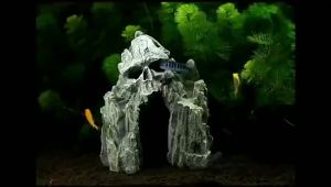 ถ้ำกะโหลกจำลองสำหรับตู้ปลา การตกแต่งภูมิทัศน์ ตู้ปลา หินสำหรับสัตว์เลื้อยคลาน ปลาและกุ้ง บ้านหลบหนี การตกแต่งหลุมวัฒนธรรม