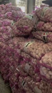 กระเทียมปิงปองหัว 5.0 cm. น้ำหนัก 9-10 kg.