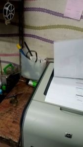 printer hp LaserJet color cp1515n print network