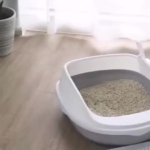 [SG] Cat Litter  with Open Lid and Free Scoop / Open Cat Litter