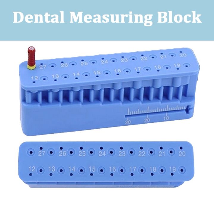 Dental tools Dental Endo Measuring Autoclavable Endodontic Block Files ...