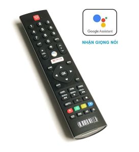 Remote Dùng Cho TV Panasonic Điều Khiển Tivi Nhận Giọng Nói Android Smart TV NETFLIX Kèm Pin AAA