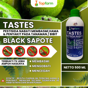 Obat Semprot Buah Black Sapote / Obat Tanaman Black Sapote / Obat Buah Black Sapote / Obat Hama Buat Buah Black Sapote / Obat Hama Buah Black Sapote