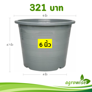กระถาง กระถางต้นไม้ กระถางพลาสติก เบอร์ 6 นิ้ว สีเทา 50 ใบ ชิ้น อัน