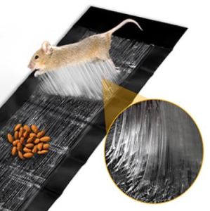Mouse Glue Trap Sticky Rat Trap Indoor for Home and Outdoor Strong Glue Trap for Mice Rats Rodents KMV Trading
