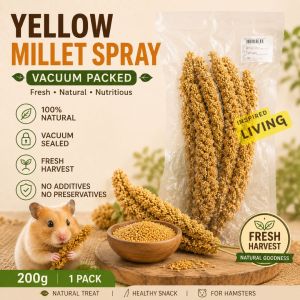 Hamster Foraging Treats | Flax Seed Spray | Vacuum Packed Millet Sorghum Oat Spray & Paddy Rice | Bird Small Pet Treats
