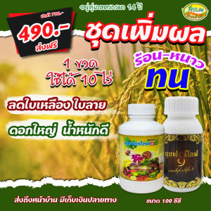 นุชฟอร์ไลฟ์ 2+8 ขนาด100cc(เลือกสูตรได้)โปรปล่อยของ/ปุ๋ยน้ำ อาหารเสริมพืช / สินค้าเกษตรปลอดภัย ฮอร์โมนพืช