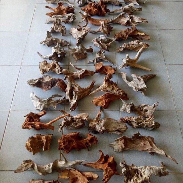 C%C3%A0nh%20g%E1%BB%97%20l%C5%A9a%20kh%C3%B4%20trang%20tr%C3%AD%20b%E1%BB%83%20c%C3%A1%20th%E1%BB%A7y%20sinh,%20bonsai,%20ti%E1%BB%83u%20c%E1%BA%A3nh,%20gh%C3%A9p%20lan%20-%20Image%203