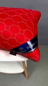 Hilton pillows 3D design