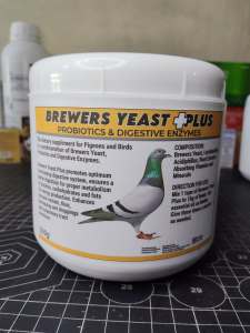 BREWERS YEAST PLUS (PROBIOTICS + DIGESTIVE ENZYMES)