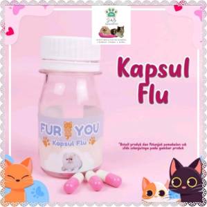 Obat Flu Kucing - Kapsul Flu Anabul Pilek Ingusan Bersih Ampuh