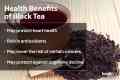 Ten Ren Premium Taiwan Whole Leaves Tea Bags 3g x 18 Oolong Pu Erh Genmai Fresh Green Tea Jasmine Green Tea 茶包系列. 