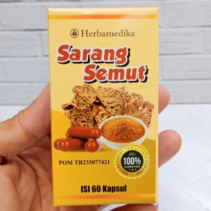 Kapsul Sarang Semut Papua Original - Obat Alami Penyakit Jantung  Stroke Ringan Maupun Berat