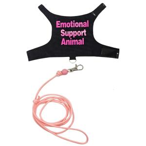 Vải bố mềm thằn lằn khai thác tập luyện ngoài trời dây mềm đai dây leo cho động vật nhỏ