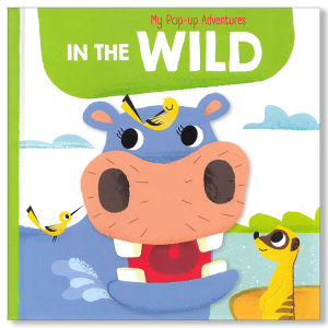 Yoyo Books - Pop up Adventure Series